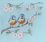 CL220 Bluetits in the Blossom